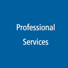 Professional Services Logo